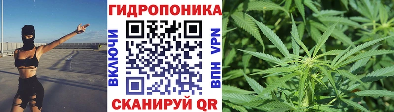 Сколько стоит Бронницы Гашиш СК Меф Каннабис