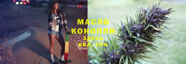 прущий лед Алзамай