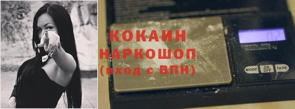 прущий лед Алзамай