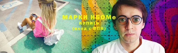 прущий лед Алзамай